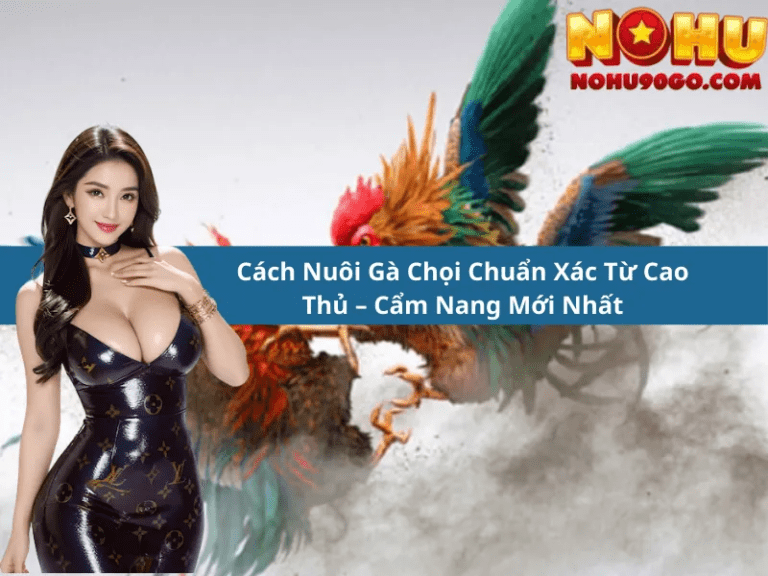 Raising Fighting Roosters in the Context of Nohu90 Casino: A Guide to Traditional Knowledge and Online Cockfighting Culture