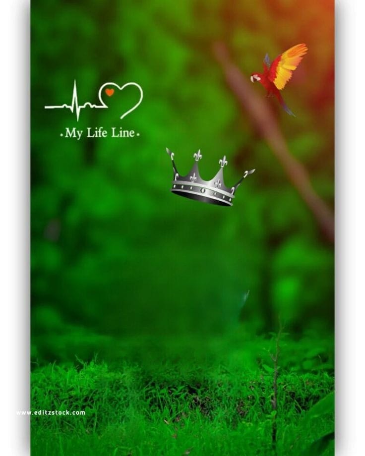 Beautiful Background Dp