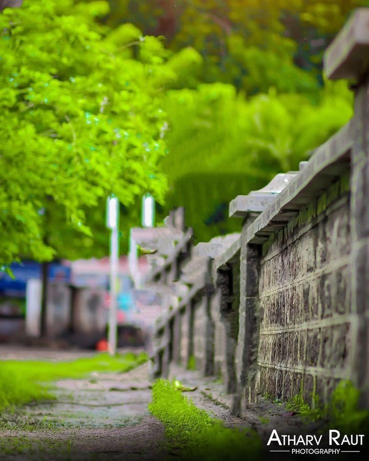 Beautiful Background Dp