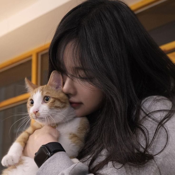 Beautiful Girl Photos With Cat Profile Pics