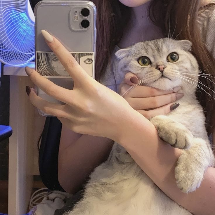 Beautiful Girl Photos With Cat