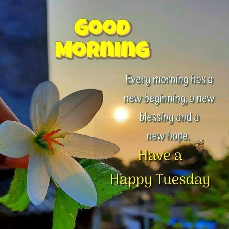 Beautiful Good Morning Tuesday