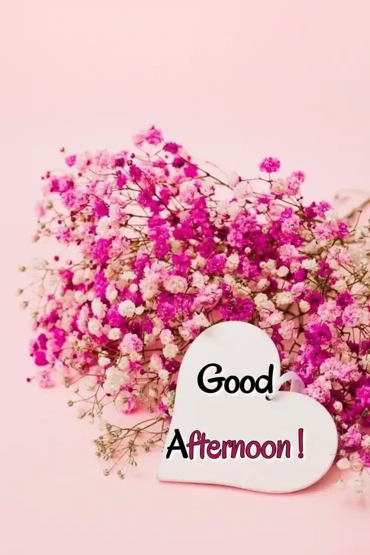Beautiful New Good Afternoon