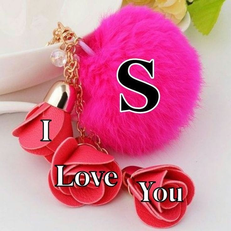 Beautiful S Letter Pics