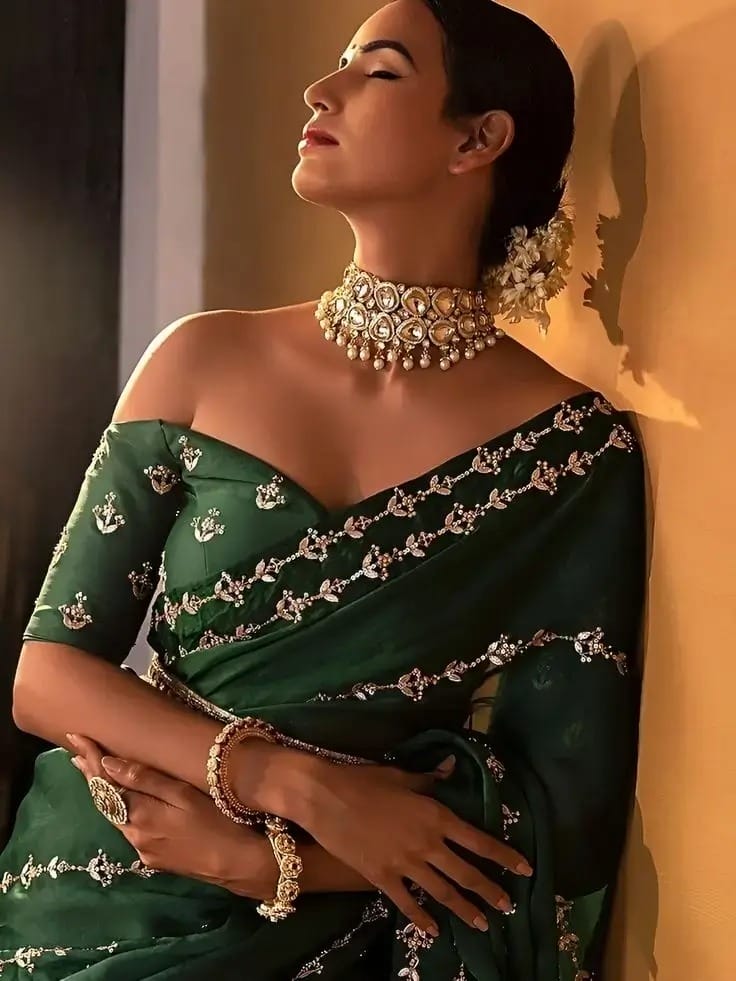Blouse Neck Designs or Silk Saree