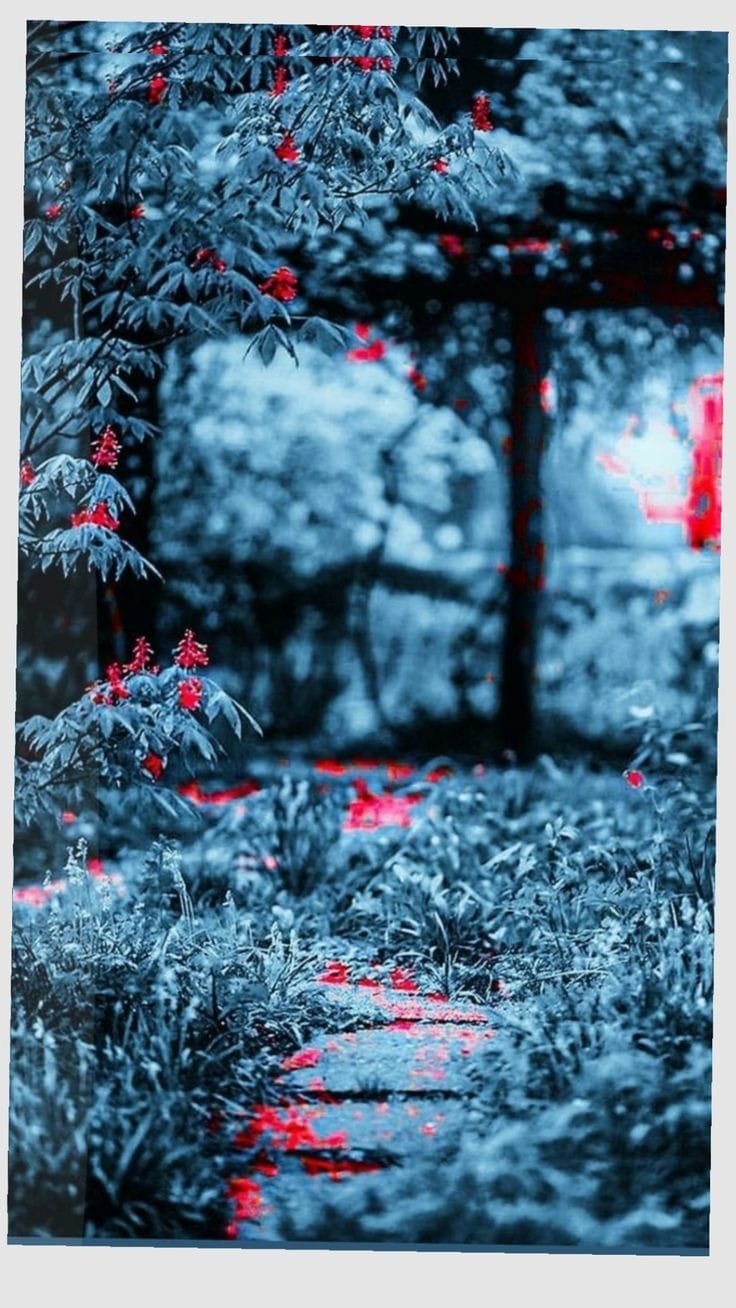 CB Background HD Smoke