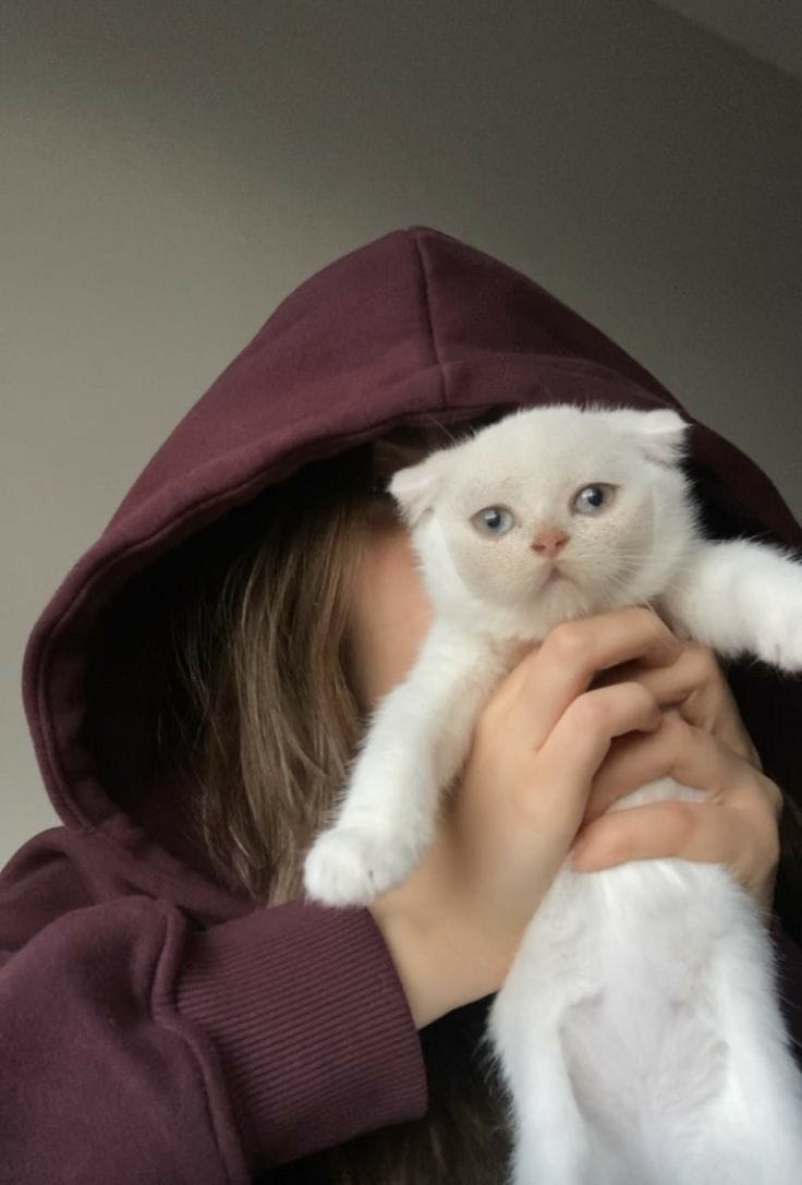 Beautiful Girl Photos With Cat