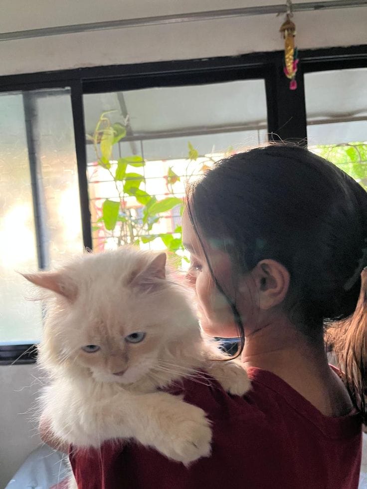 Cute Girl With Cat DP