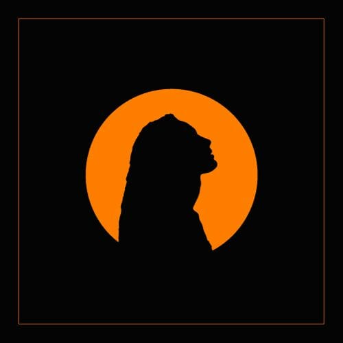A silhouette of a lion against an orange background.