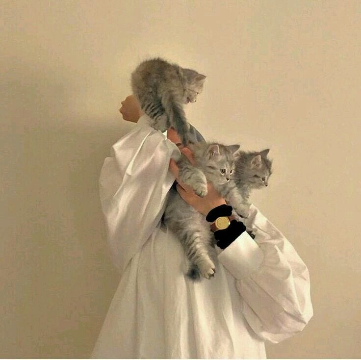 Girl With Cat Dp for Instagram Profile