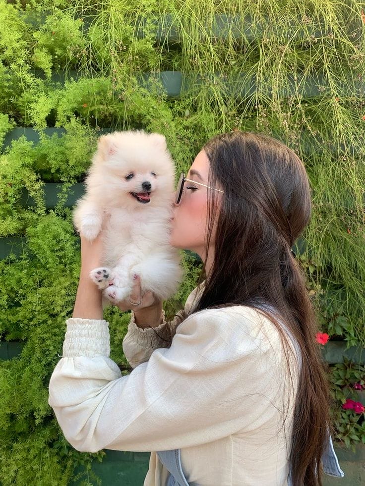 Girl With Cat Images