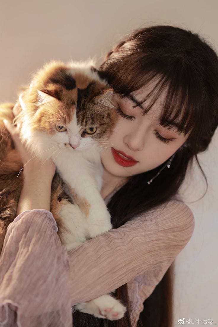 Girl With Cat Photos