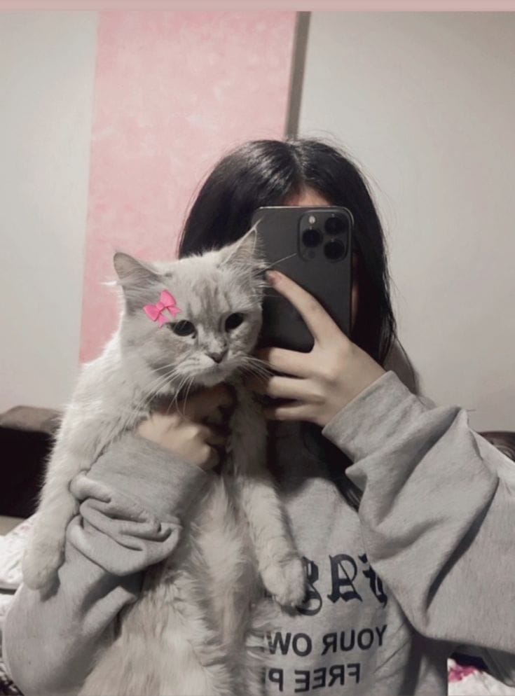 Girl With Cat Profile Pictures