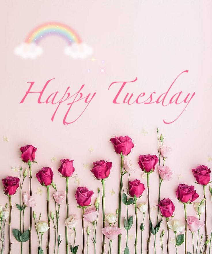 Good Morning Tuesday Pics