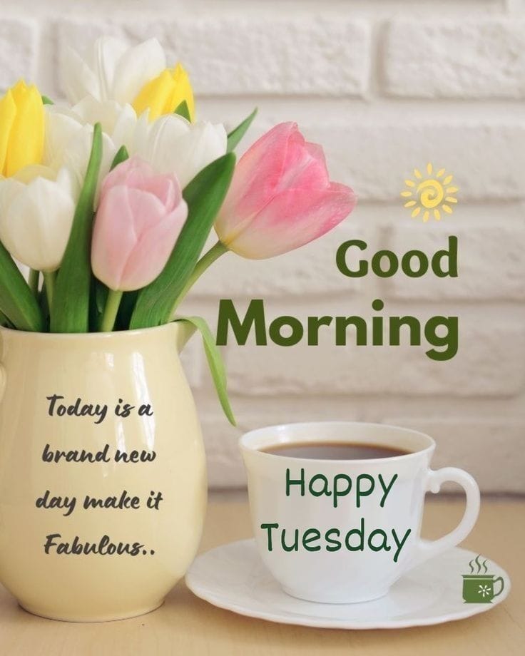 Good Morning Tuesday Pictures