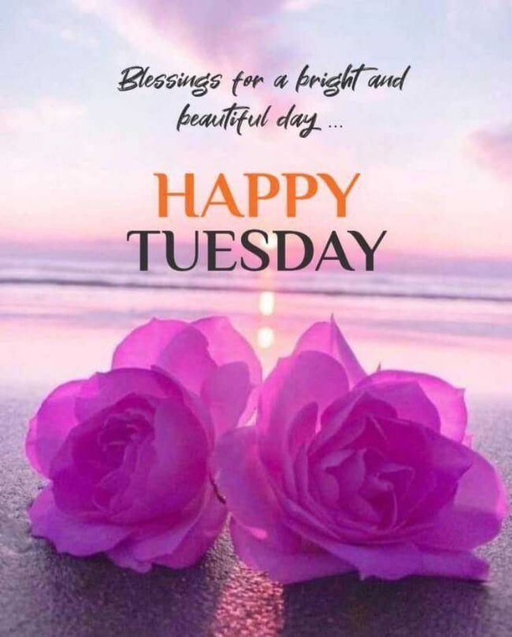 Good Morning Tuesday Wallapaper