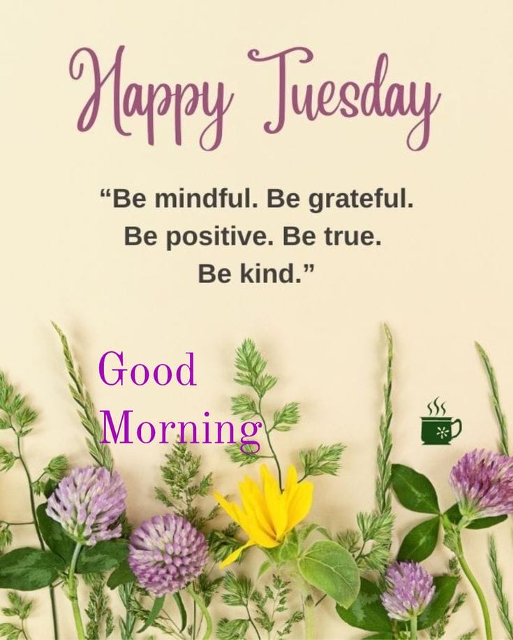 Good Morning and Happy Tuesday