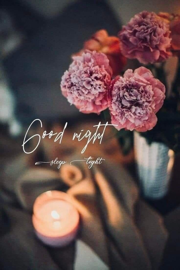 Good Night Picture