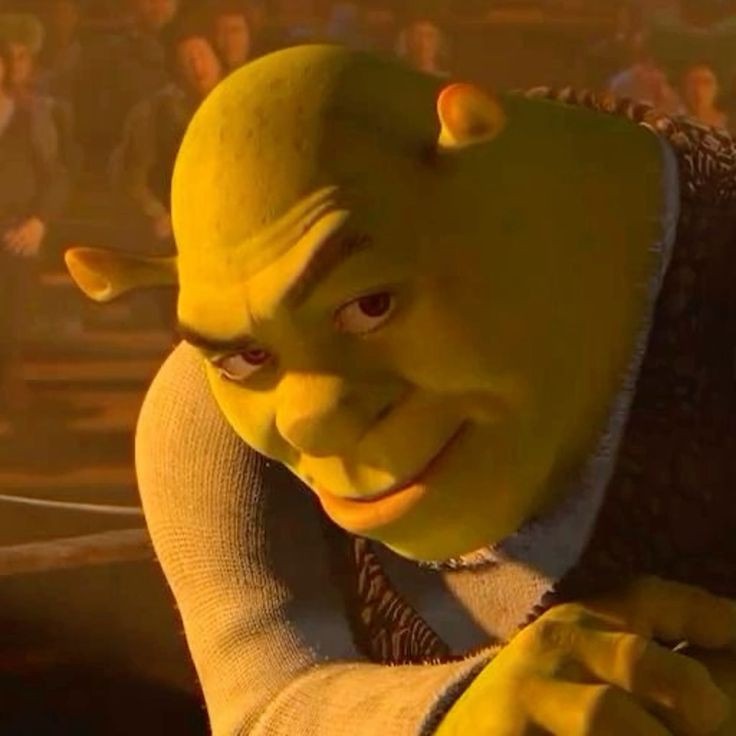 Goofy Ahh Images Shrek