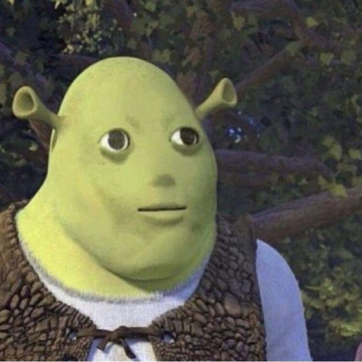 Goofy Ahh Pictures Shrek