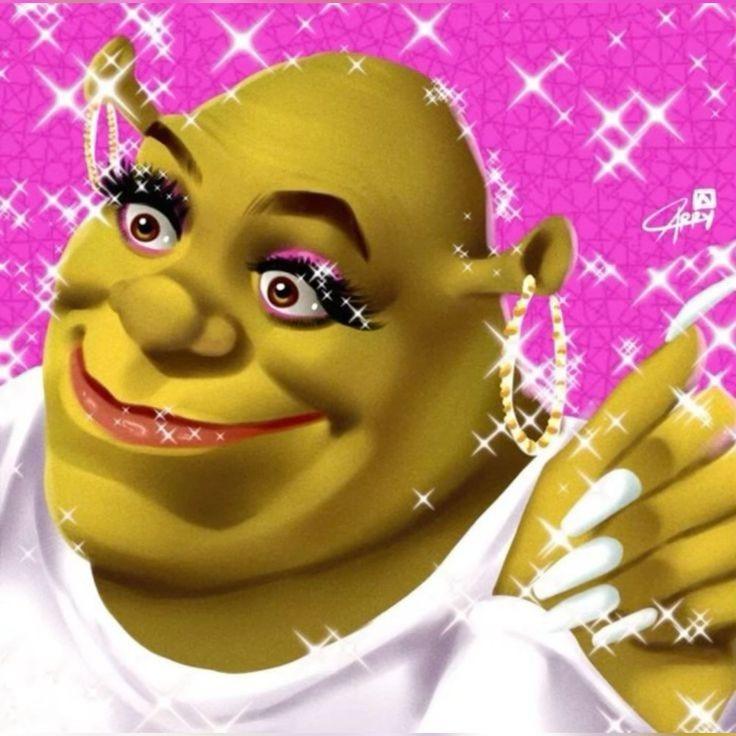 Goofy Ahh Shrek Photos