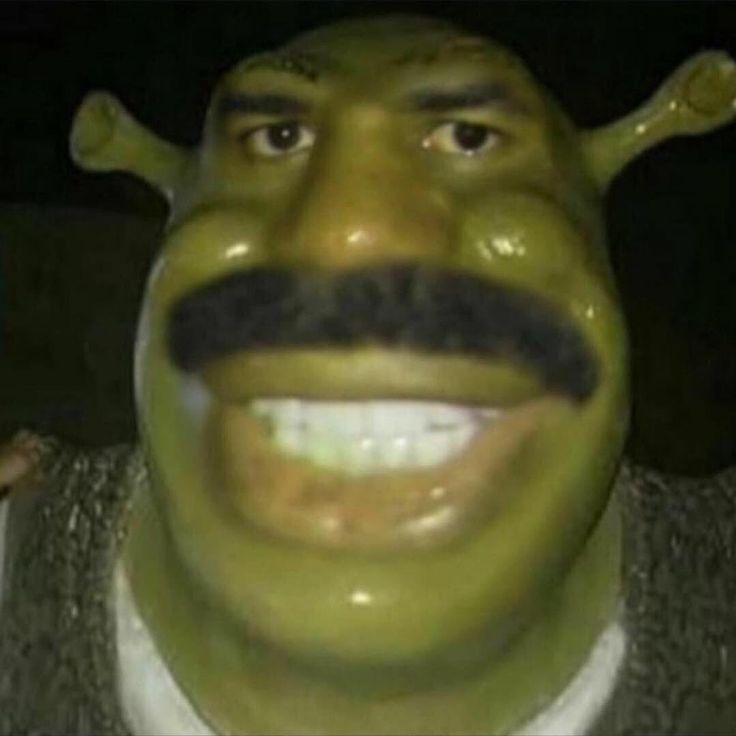 Goofy Ahh Shrek Pic