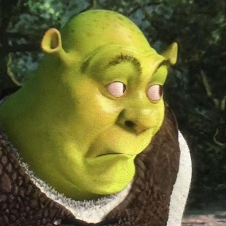 Goofy Ahh Shrek Pictures
