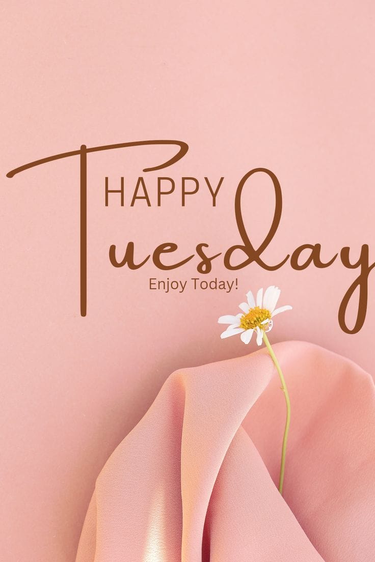 Happy Tuesday Good Morning