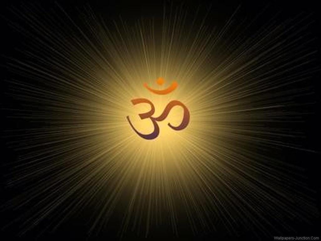 New OM Photo