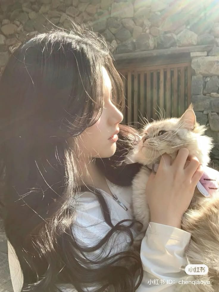 Sad Girl With Cat DP