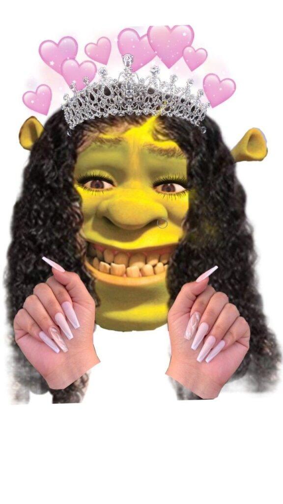 Shrek Goofy Ahh