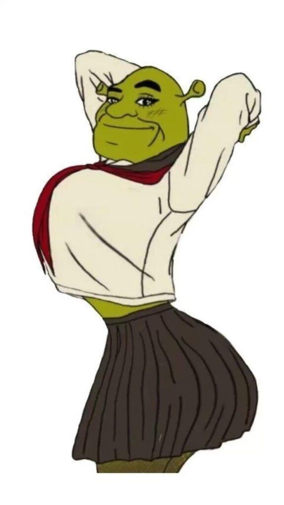 Shrek Pfp Cute