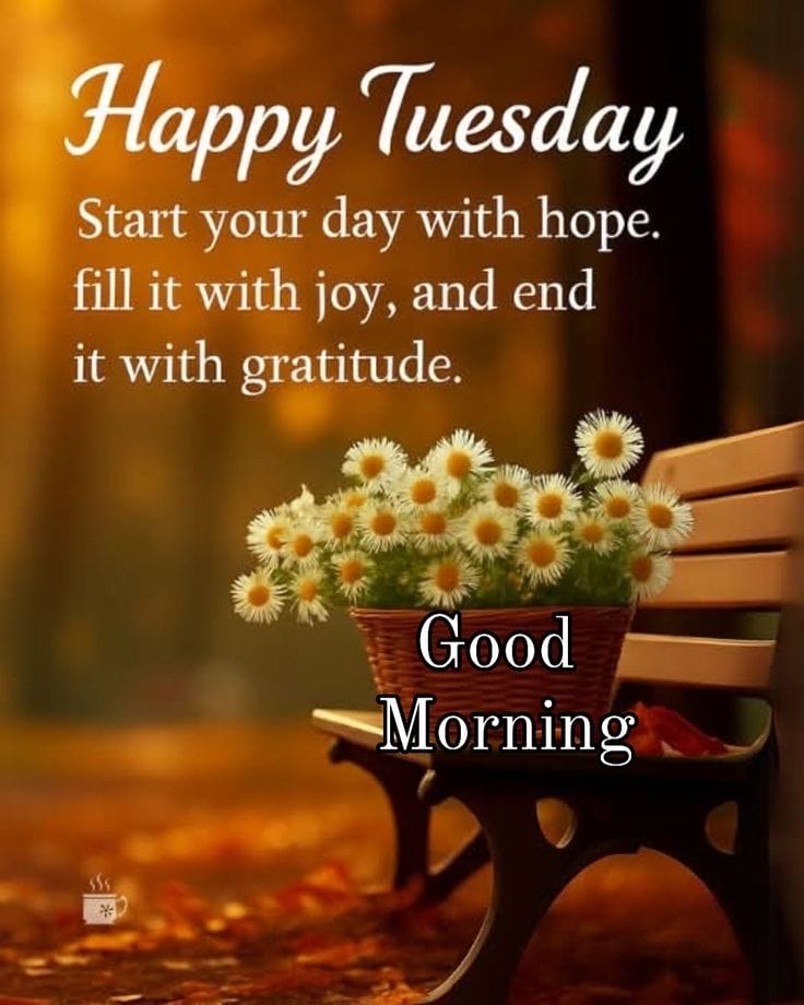 Tuesday Good Morning Photos