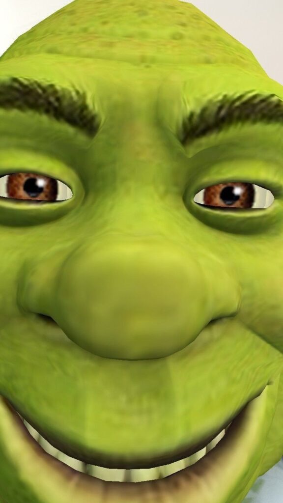 Wallpaper Goofy Ahh Pictures Shrek
