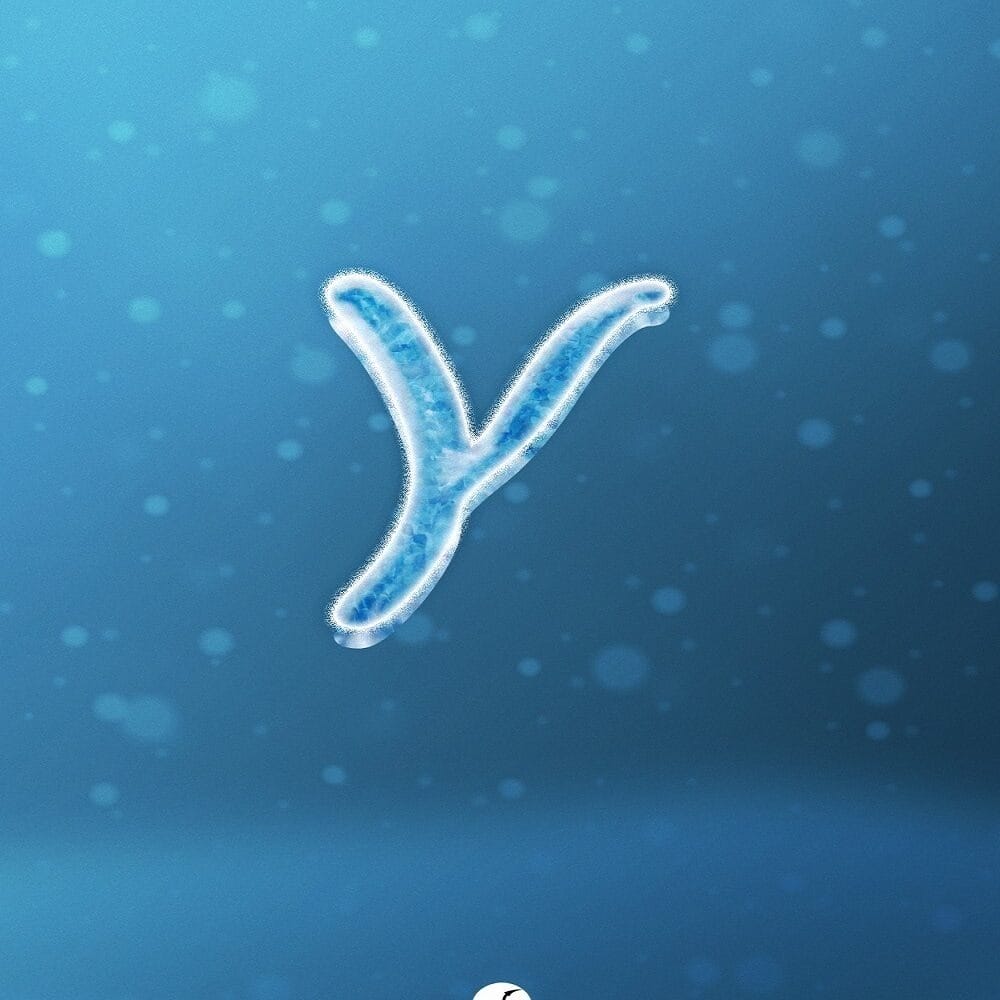 Y Letter Design